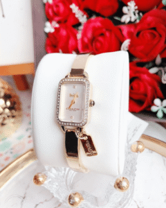 Coach - đồng hồ đeo tay chất lượng vượt trội từ Mỹ