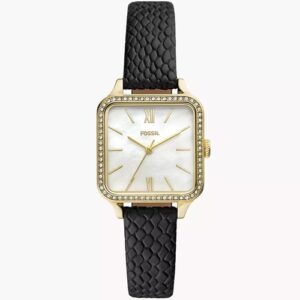 Đồng Hồ Fossil Chính Hãng Nữ BQ3918 Colleen Three-Hand Black Leather Ladies Watch