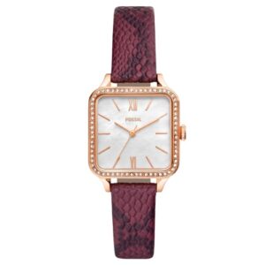 Đồng Hồ Fossil Chính Hãng Nữ BQ3919 Colleen Three-Hand Red Leather Ladies Watch