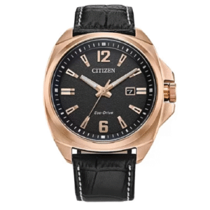 Đồng Hồ Citizen Chính Hãng Nam AW1723-02E Eco-Drive Black Leather Women's Watch